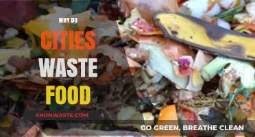 Urban Food Waste: Understanding the Causes and Consequences