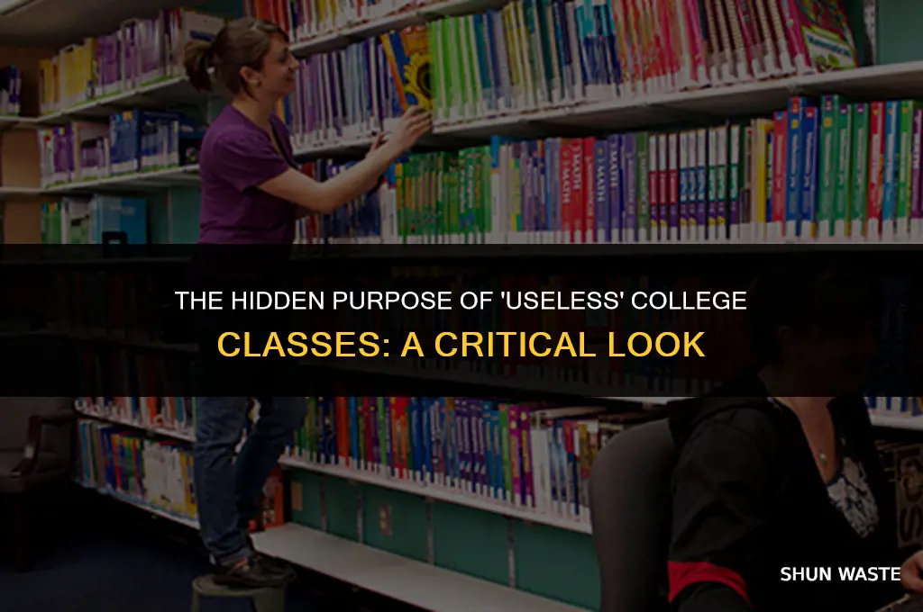 why do colleges waste time with classes you don
