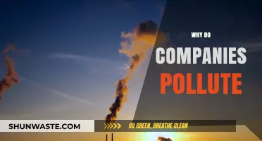 Corporate Pollution: Profit Over Planet – Why Companies Pollute