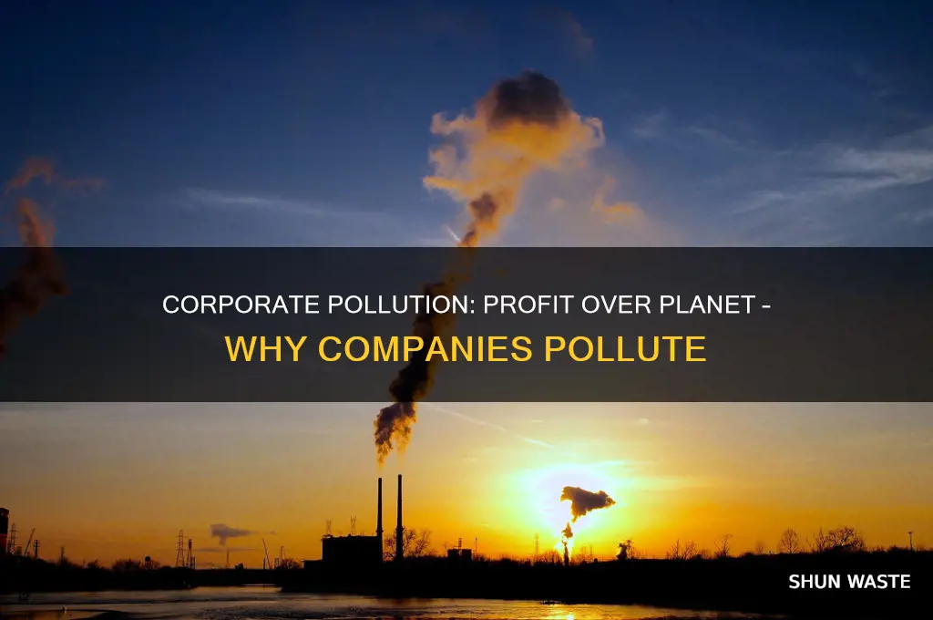why do companies pollute