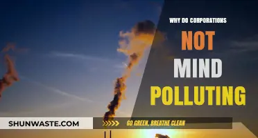 Corporate Pollution Profits: Why Environmental Damage Persists Despite Consequences