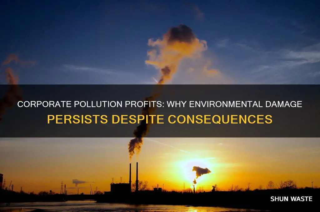 why do corporations not mind polluting