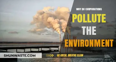 Corporate Pollution: Profit Over Planet – Why Industries Harm the Environment