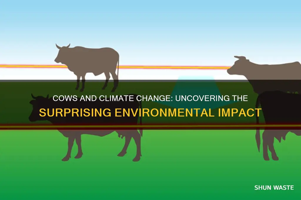 why do cows pollute