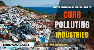 Polluting Industries: Why Developing Nations Resist Environmental Reforms