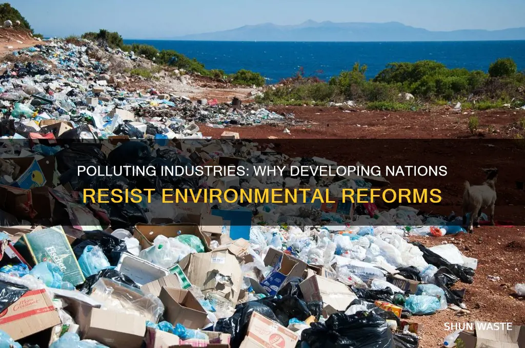 why do developing nations hesitate to curb polluting industries
