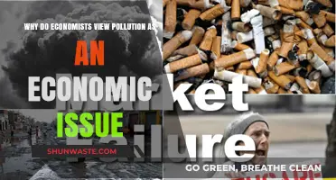 Pollution's Economic Impact: Why Economists See It as a Market Failure