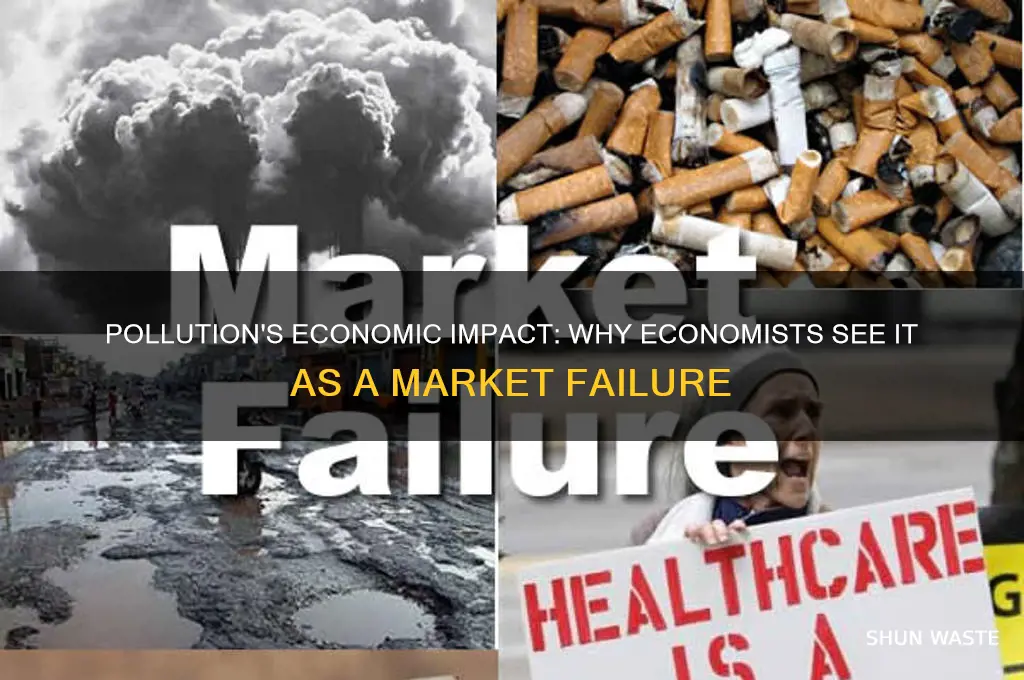 why do economists view pollution as an economic issue