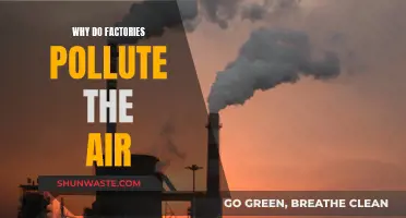 Air Pollution: The Dark Side of Factories