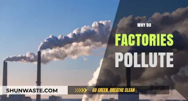 Why Factories Pollute: Uncovering Industrial Environmental Impact and Solutions