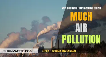 Fossil Fuels: Major Air Polluters and Climate Change Drivers
