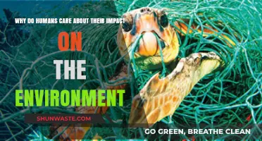 Why Humans Value Their Environmental Impact: A Deep Dive