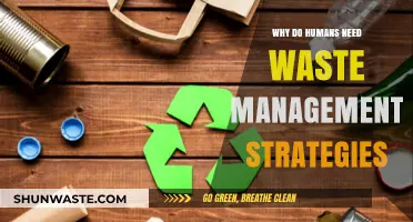 Sustainable Living: The Crucial Role of Waste Management Strategies