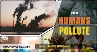 Understanding Human Pollution: Causes, Consequences, and Urgent Solutions