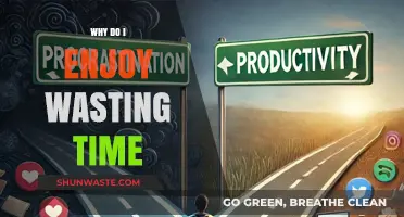 The Paradox of Procrastination: Why We Enjoy Wasting Time