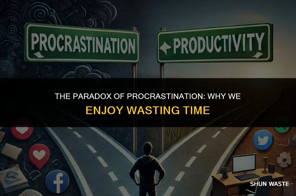 why do i enjoy wasting time
