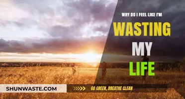 Overcoming the Feeling of Wasting Life: Finding Purpose and Meaning