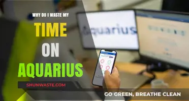 Understanding Aquarius: A Guide to Managing Time and Expectations