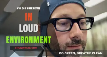 Loud and Productive: Unlocking Focus in Noisy Environments