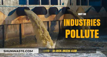 Why Industries Pollute: Uncovering the Root Causes of Environmental Harm