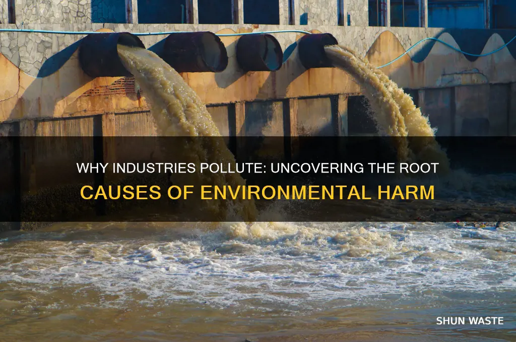 why do industries pollute