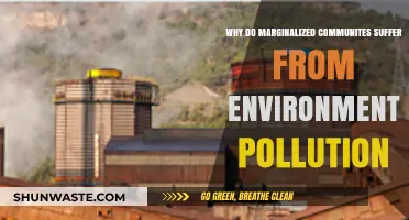 Environmental Injustice: How Marginalized Communities Bear the Pollution Burden