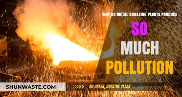 Metal Smelting Plants: Uncovering the Pollution Crisis and Its Causes
