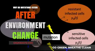 Environmental Shifts Trigger Mutations: Unraveling the Adaptive Evolution Mystery