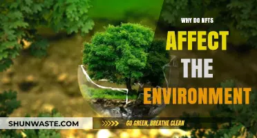 NFTs' Environmental Impact: Uncovering the Hidden Costs of Digital Art