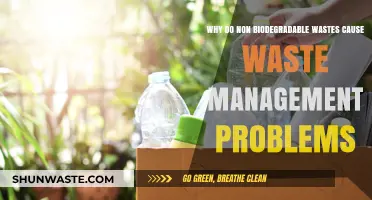 The Persistent Problem of Non-Biodegradable Waste Management