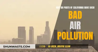 How California's Air Became So Polluted