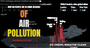 Air Pollution's Deadly Toll in China