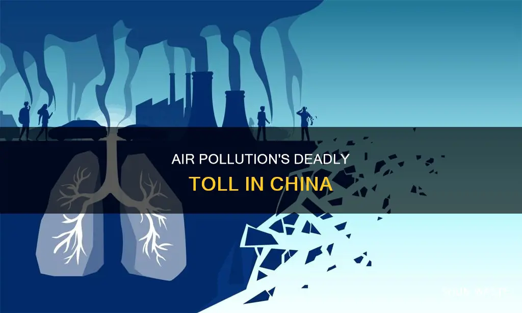 why do people die in china because of air pollution