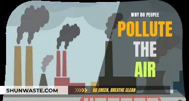 Human Impact: Air Pollution's Root Cause