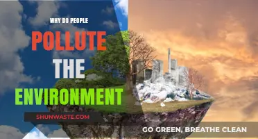 Understanding the Root Causes of Human-Induced Environmental Pollution