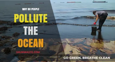 Why Do Humans Pollute the Ocean? Uncovering the Devastating Causes