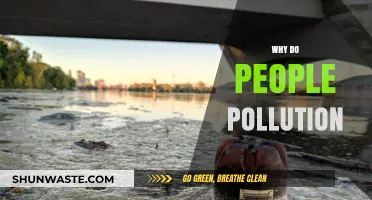 Understanding the Root Causes of Human-Induced Pollution