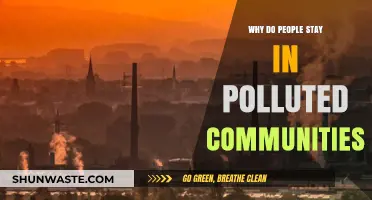 Why Residents Endure Pollution: Uncovering the Complex Reasons Behind Staying