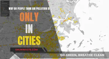Air Pollution: Beyond City Limits