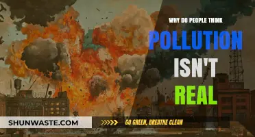 Debunking the Myth: Why Some Deny Pollution's Reality