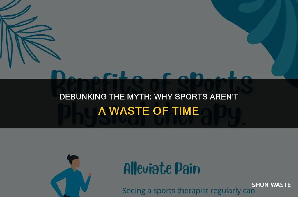 why do people think sports are a waste of time
