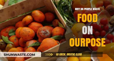 Understanding Food Waste: A Purposeful Exploration of Causes and Solutions