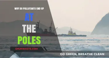 Polar Pollution Puzzle: How Global Toxins Accumulate at Earth's Extremes