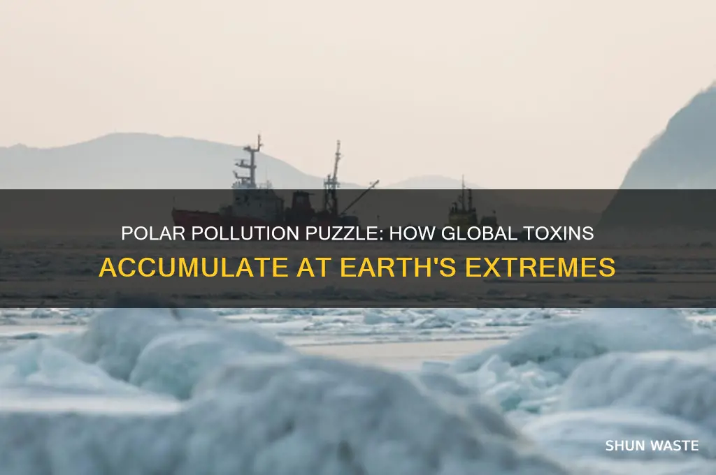 why do pollutants end up at the poles