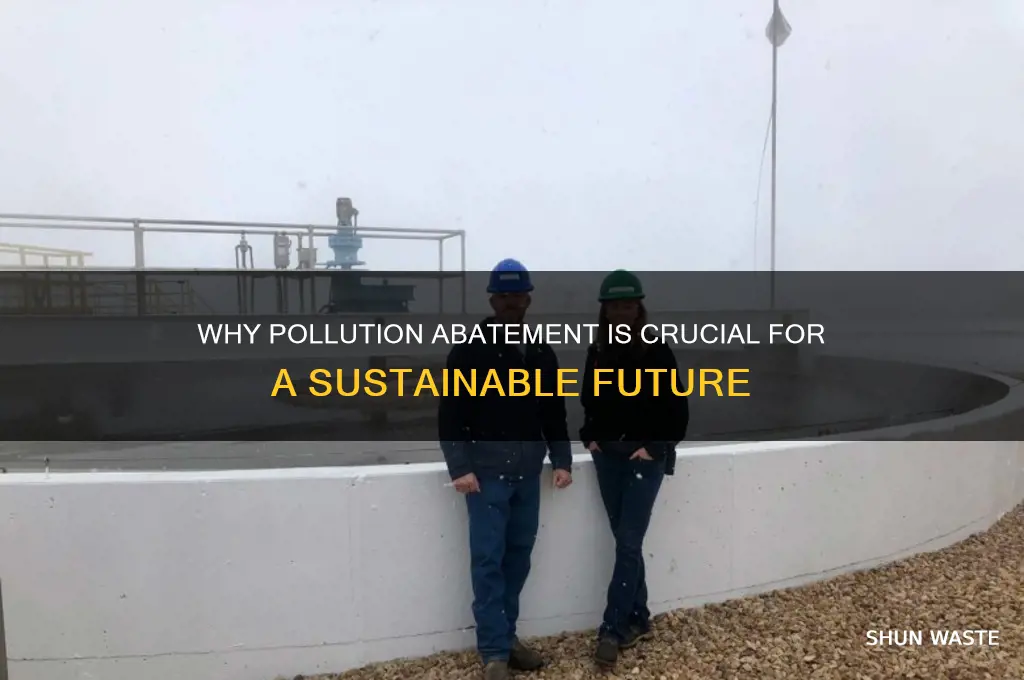 why do pollution abatement