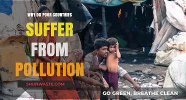 Poverty's Toxic Trap: Why Poor Nations Face Severe Pollution Crises