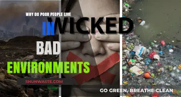 Poverty's Environmental Trap: Why the Poor Suffer in Degraded Spaces