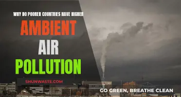 Socioeconomic Disparity: Air Pollution's Unfair Impact