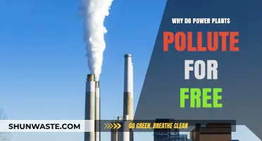 Why Power Plants Pollute Without Paying: Uncovering the Hidden Costs