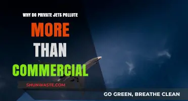 Private Jets vs. Commercial Flights: The Hidden Environmental Cost